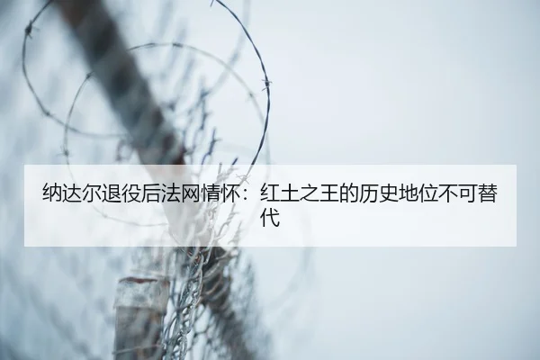 na-da-er-tui-yi-hou-fa-wang-qing-huai-hong-tu-zhi-wang-de-li-shi-di-wei-bu-ke-ti-dai-3-150.jpg