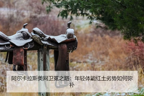 a-er-ka-la-si-mei-wang-wei-mian-zhi-lu-nian-qing-ti-neng-hong-tu-lie-shi-ru-he-mi-bu-2-353.jpg