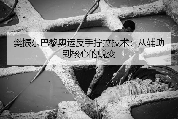 fan-zhen-dong-ba-li-ao-yun-fan-shou-ning-la-ji-shu-cong-fu-zhu-dao-he-xin-de-tui-bian-3-859.jpg