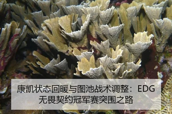 kang-kai-zhuang-tai-hui-nuan-yu-tu-chi-zhan-shu-tiao-zheng-wu-wei-qi-yue-guan-jun-sai-tu-wei-zhi-lu-2-174.jpg