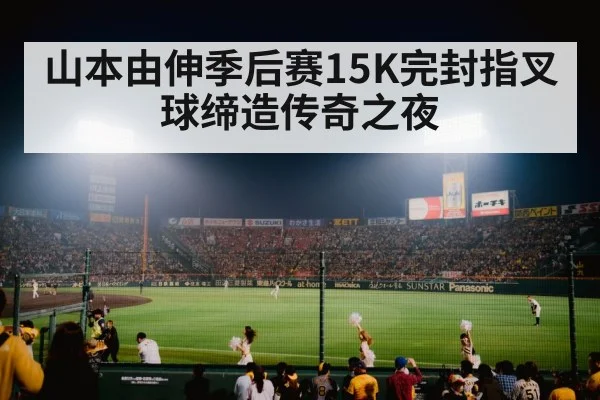 baseball stadium night